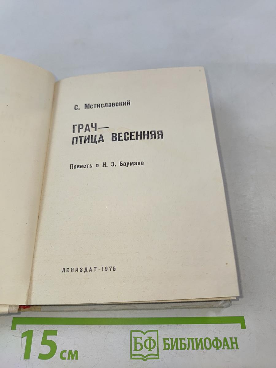 Грач — птица весенняя