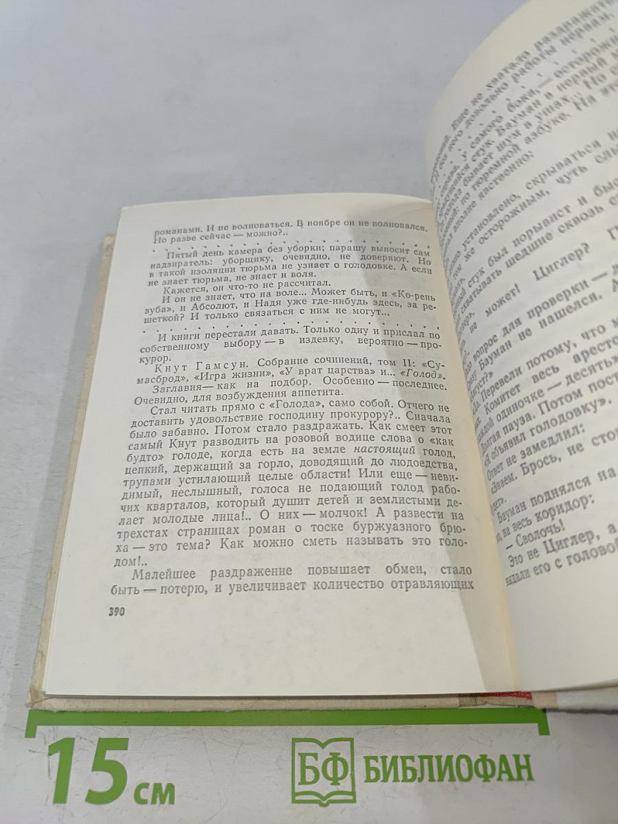 Грач — птица весенняя