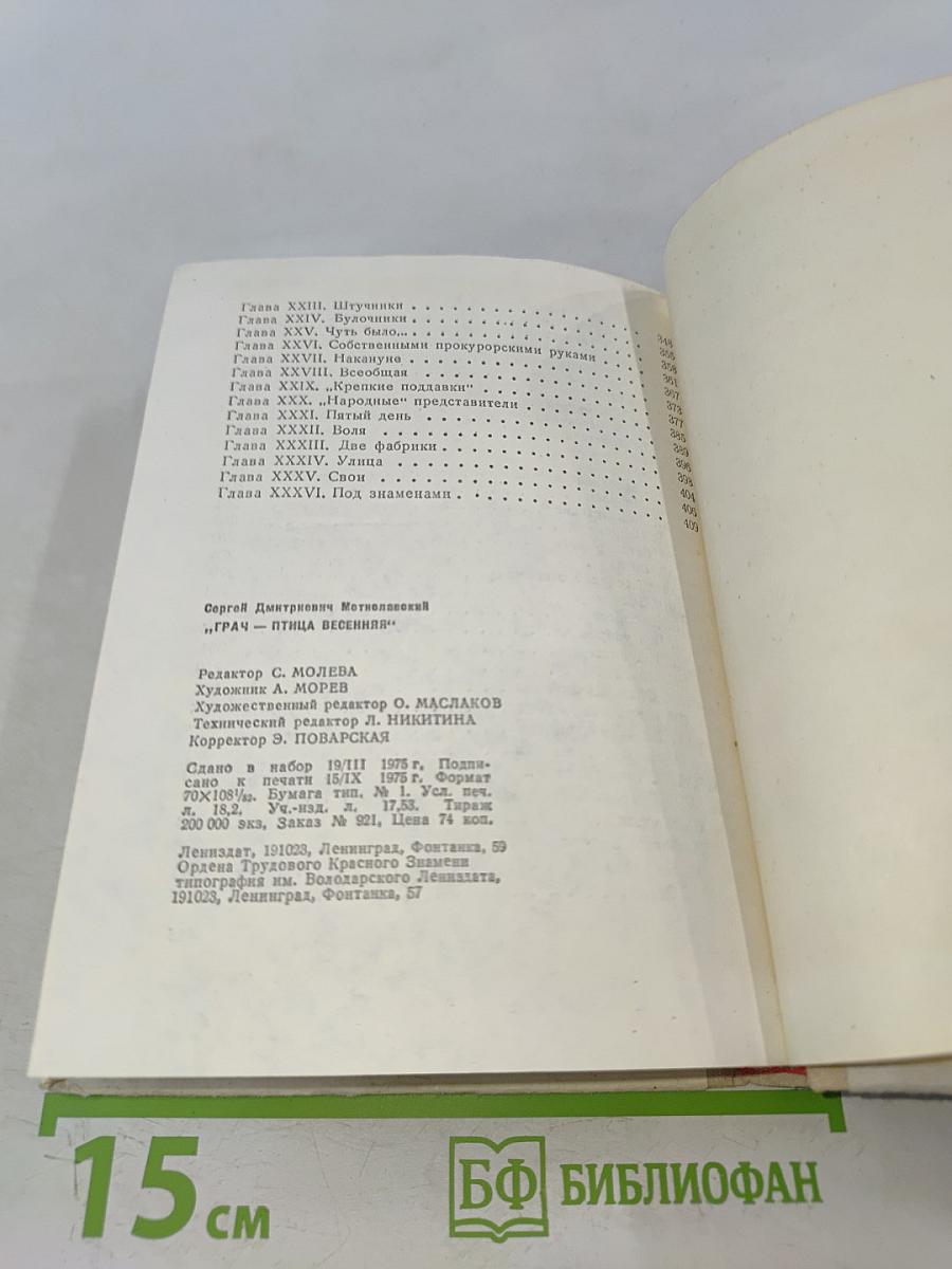 Грач — птица весенняя