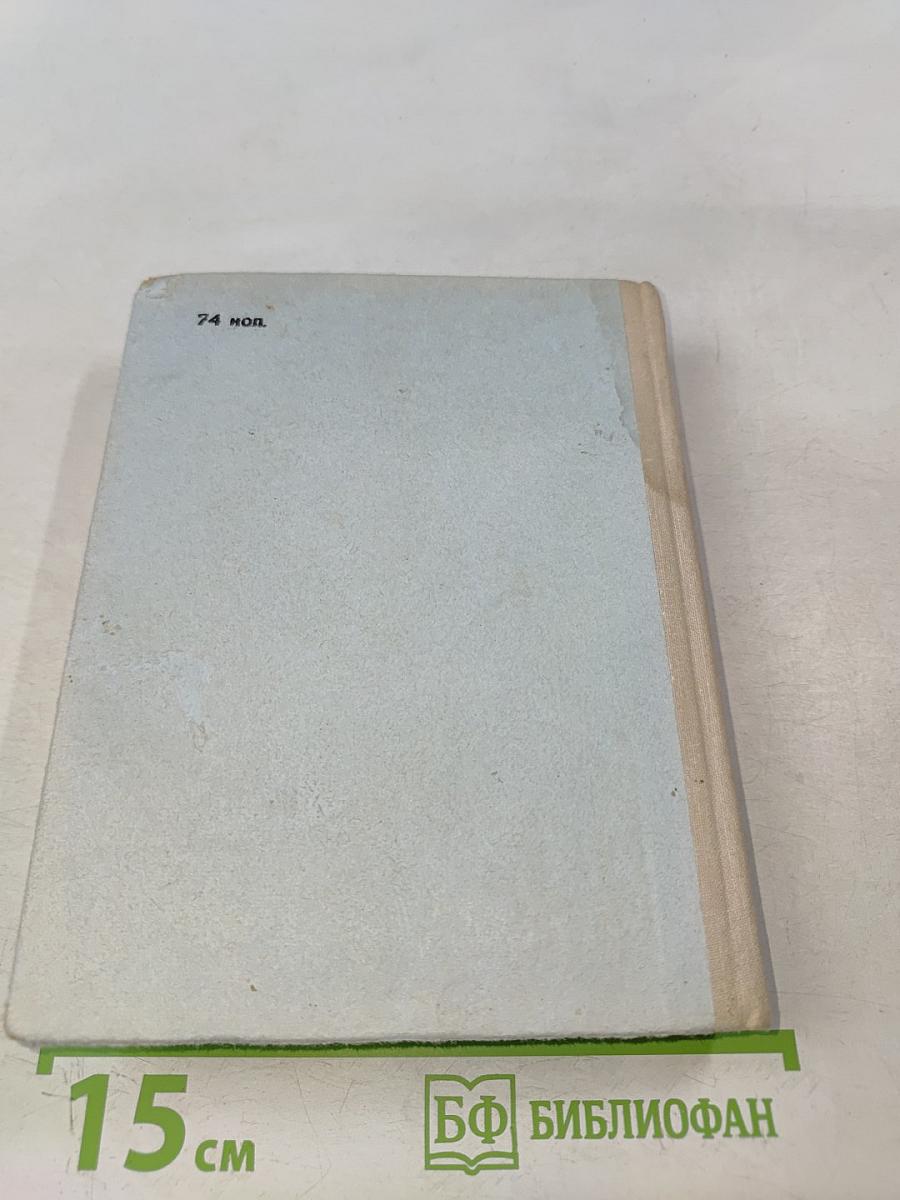 Грач — птица весенняя