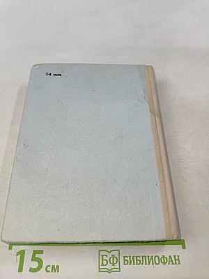 Грач — птица весенняя