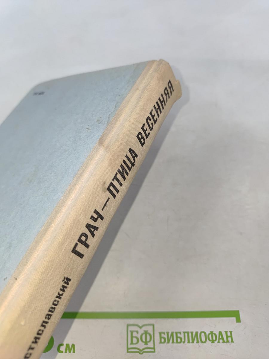 Грач — птица весенняя