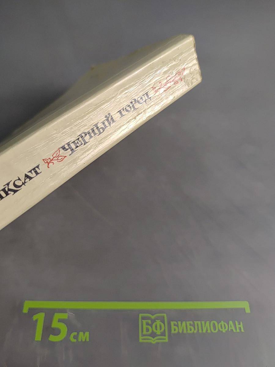 Черный город