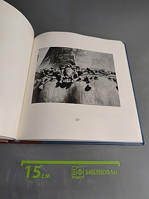 Конная статуя Петра I работы Растрелли