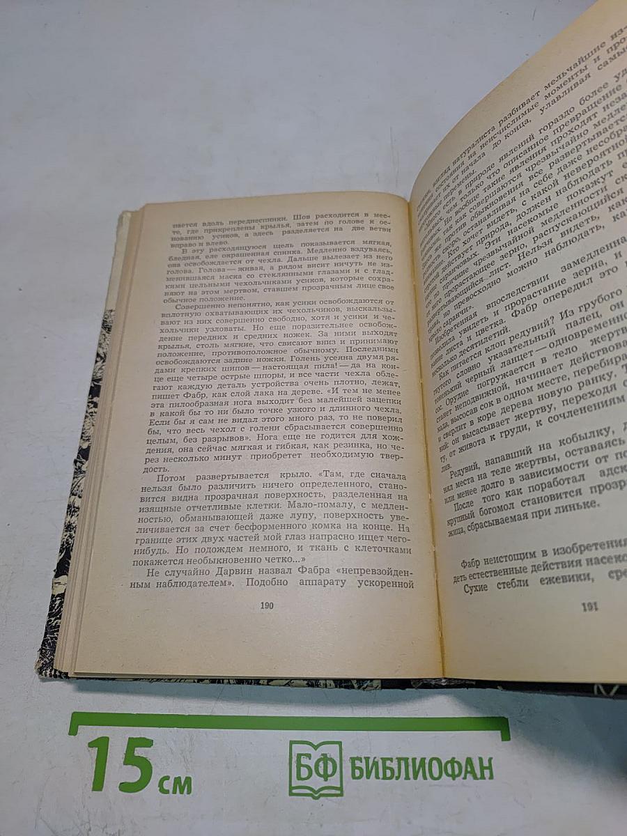 Долгий свет