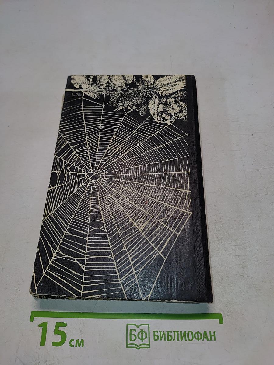 Долгий свет