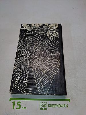 Долгий свет