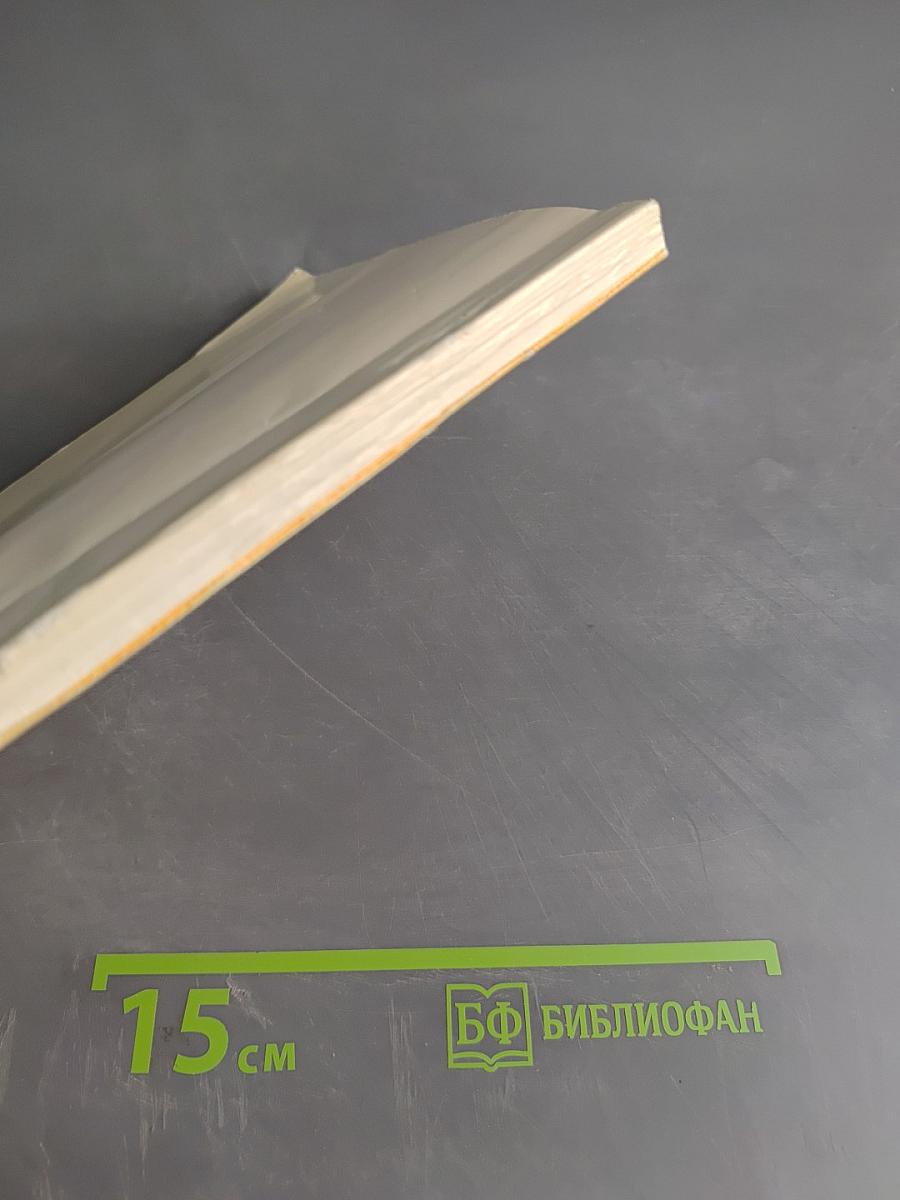 Межнациональные отношения и национальная политика в России: актуальные проблемы теории, истории и современной практики