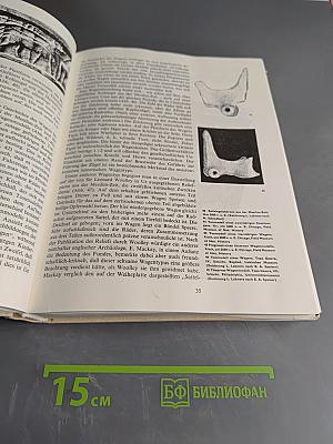 Karren Kutsche Karosse