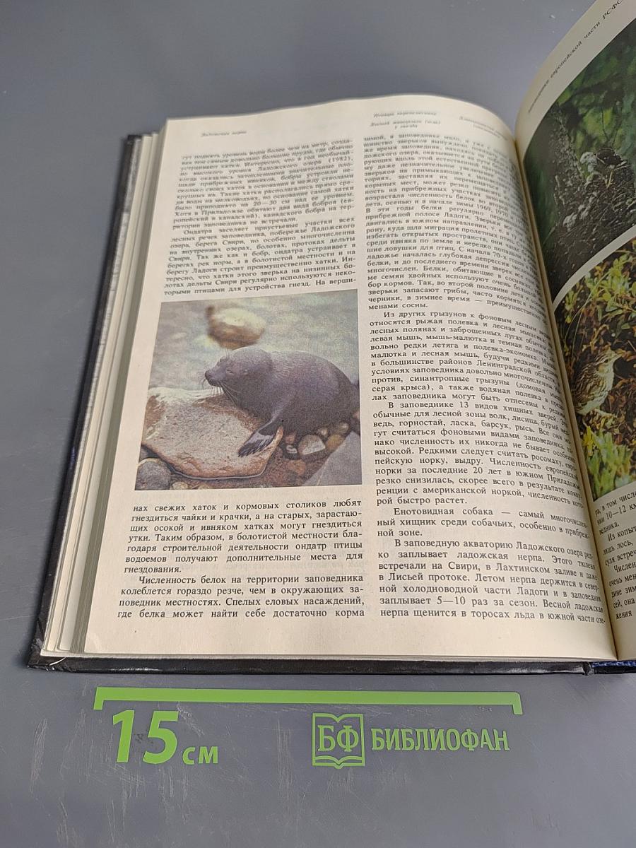 Заповедники СССР. Заповедники европейской части РСФСР. I