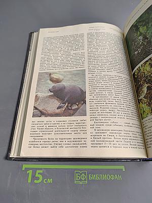 Заповедники СССР. Заповедники европейской части РСФСР. I