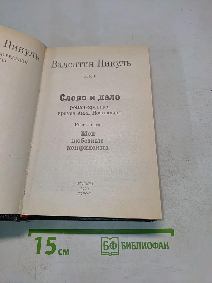 Слово и дело. Том I (Книга 2). Мои любезные конфиденты