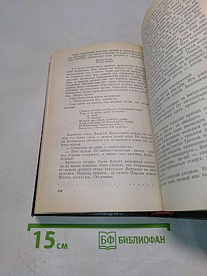 Слово и дело. Том I (Книга 2). Мои любезные конфиденты