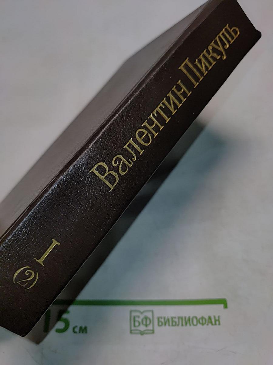 Слово и дело. Том I (Книга 2). Мои любезные конфиденты