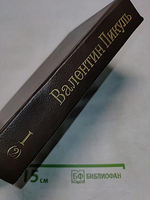 Слово и дело. Том I (Книга 2). Мои любезные конфиденты