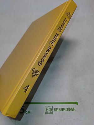 Маленькая принцесса. Чудная девочка. Том 4