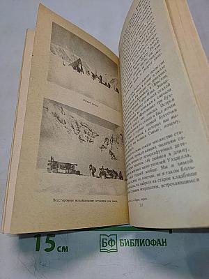 Антарктическая одиссея