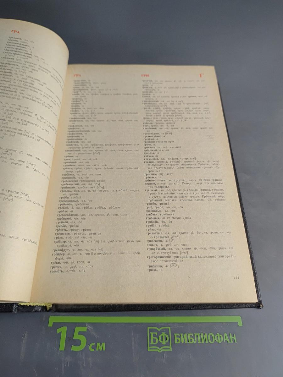 Орфоэпический словарь русского языка: Произношение, ударение, грамматические формы