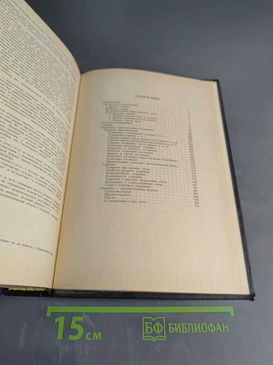 Орфоэпический словарь русского языка: Произношение, ударение, грамматические формы