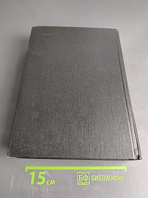 Орфоэпический словарь русского языка: Произношение, ударение, грамматические формы