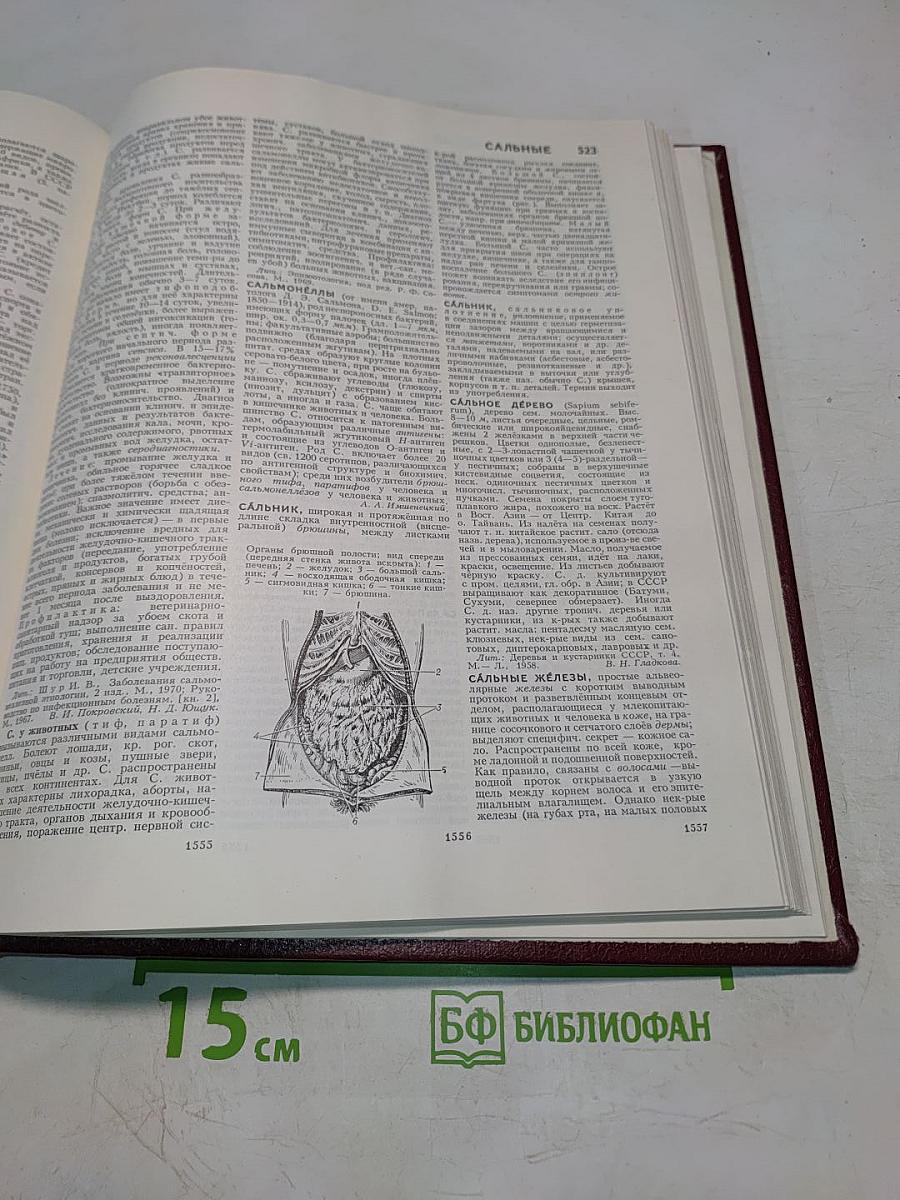 Большая Советская Энциклопедия. Том 22. Ремень – Сафи