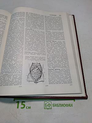 Большая Советская Энциклопедия. Том 22. Ремень – Сафи