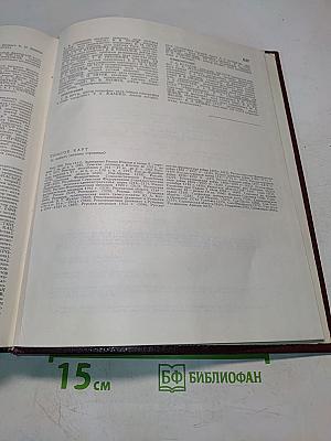 Большая Советская Энциклопедия. Том 22. Ремень – Сафи