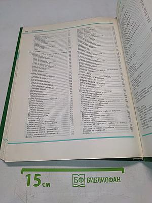 Блюда из овощей в лукошке зеленый стол