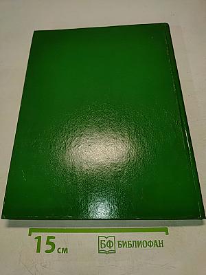 Блюда из овощей в лукошке зеленый стол