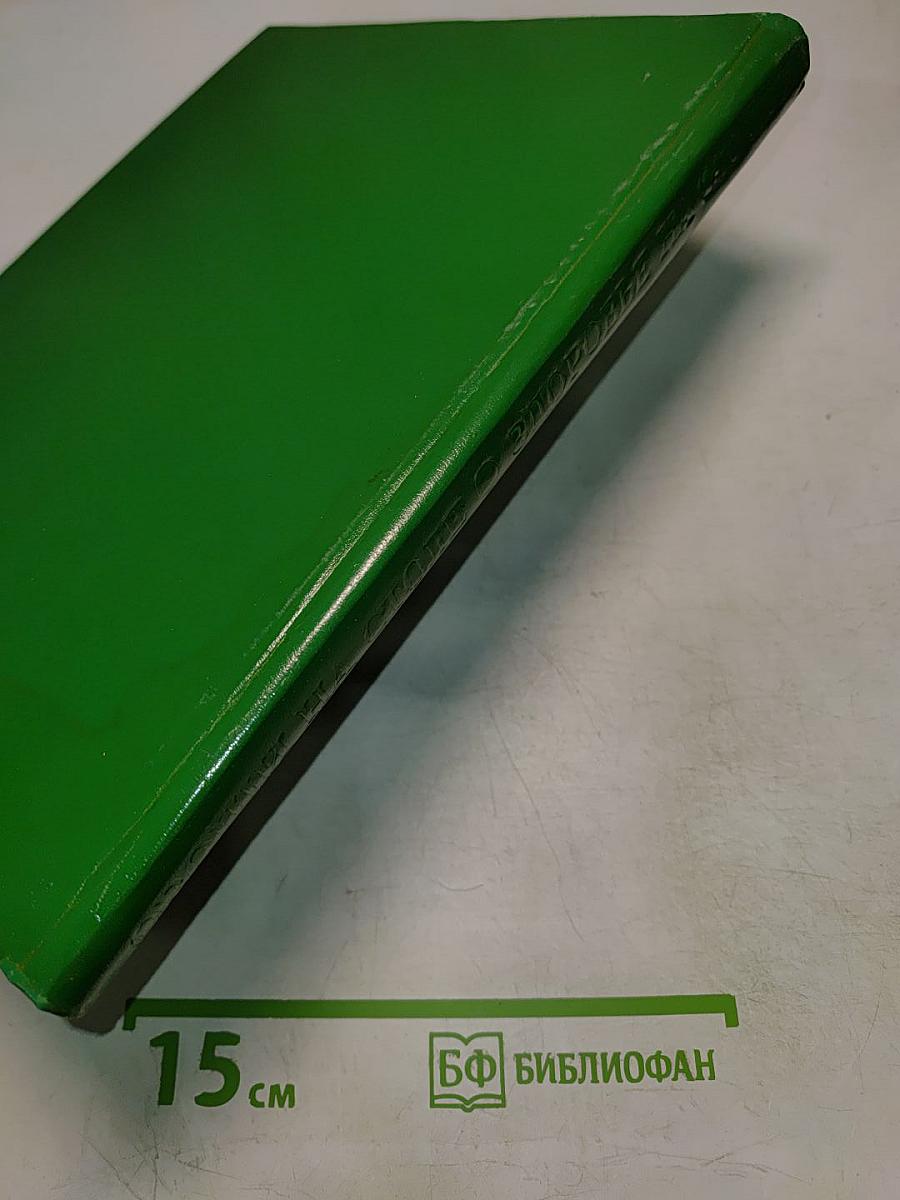 Блюда из овощей в лукошке зеленый стол