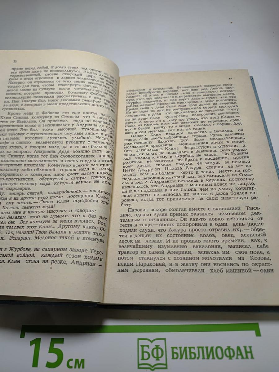 Лебединая стая