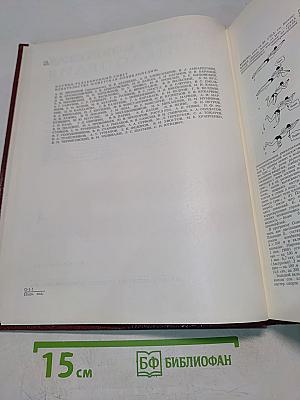 Большая Советская Энциклопедия. Том 4. Брассос — Вещи