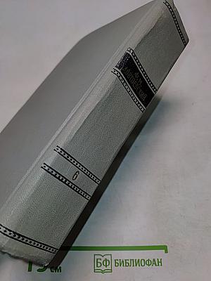 Собрание сочинений. Том шестой. Идиот