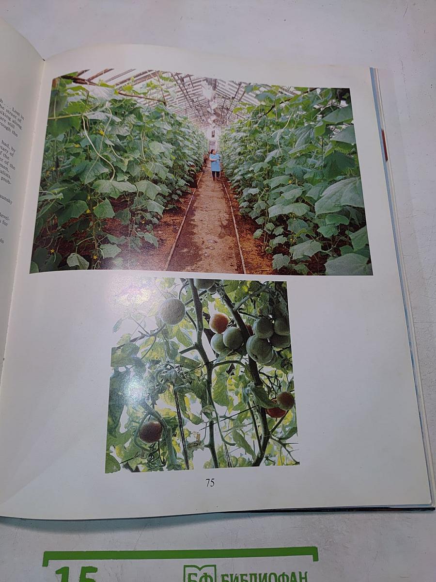 Человек и Север