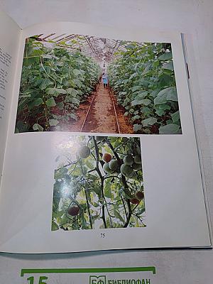 Человек и Север