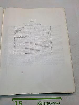 Большой англо-русский словарь. Том 1. А-М