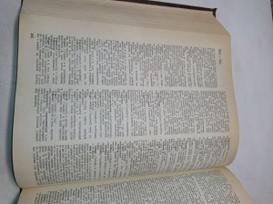 Новый большой англо-русский словарь