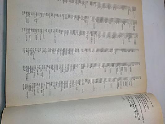 Новый большой англо-русский словарь