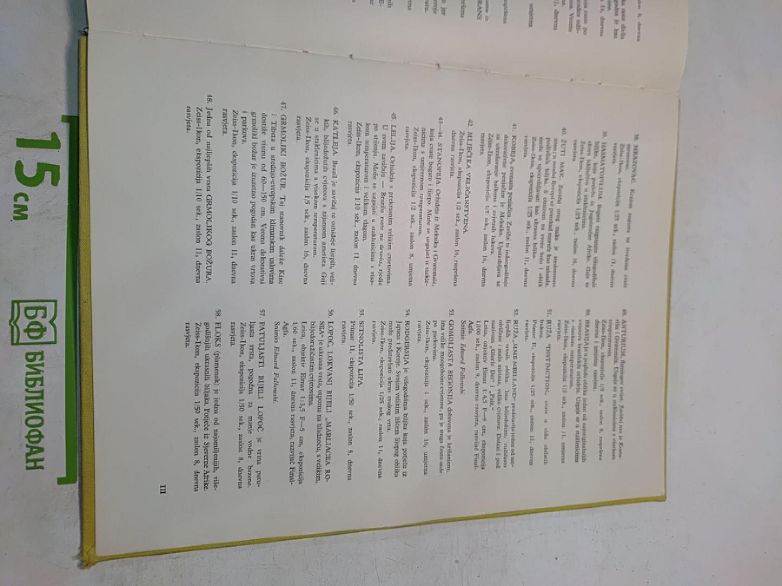 Cvijeće pred objektivom