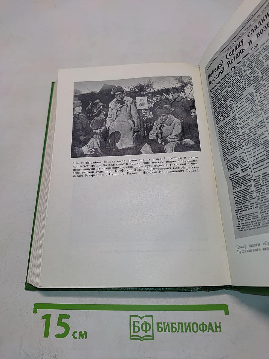 На темной ели звонкая свирель