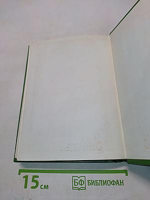 На темной ели звонкая свирель