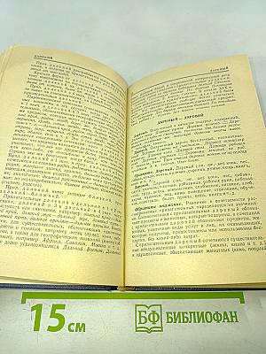 Словарь-справочник трудные случаи употребления однокоренных слов русского языка
