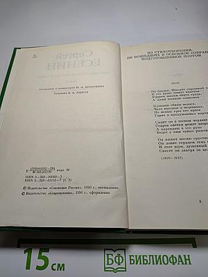 Сергей Есенин. Собрание сочинений в двух томах. Том 2