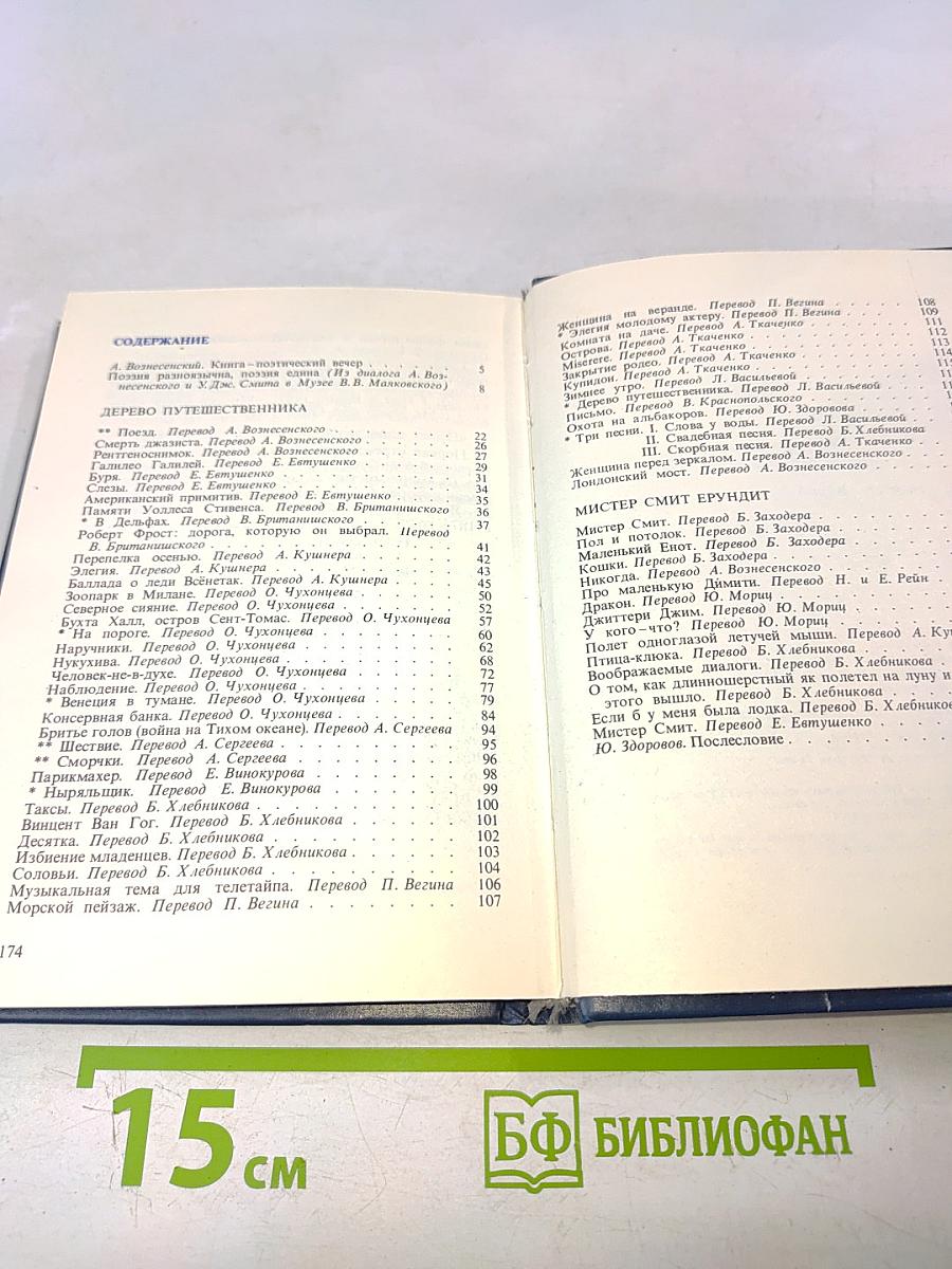 Что за поезд придет?