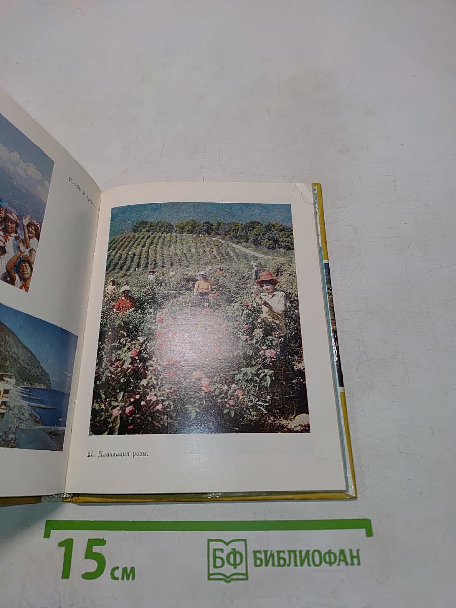 Южный берег Крыма