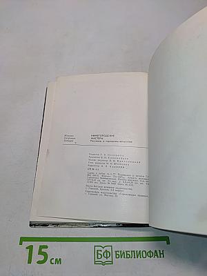 Нижегородские мастера. Рассказы о народном искусстве