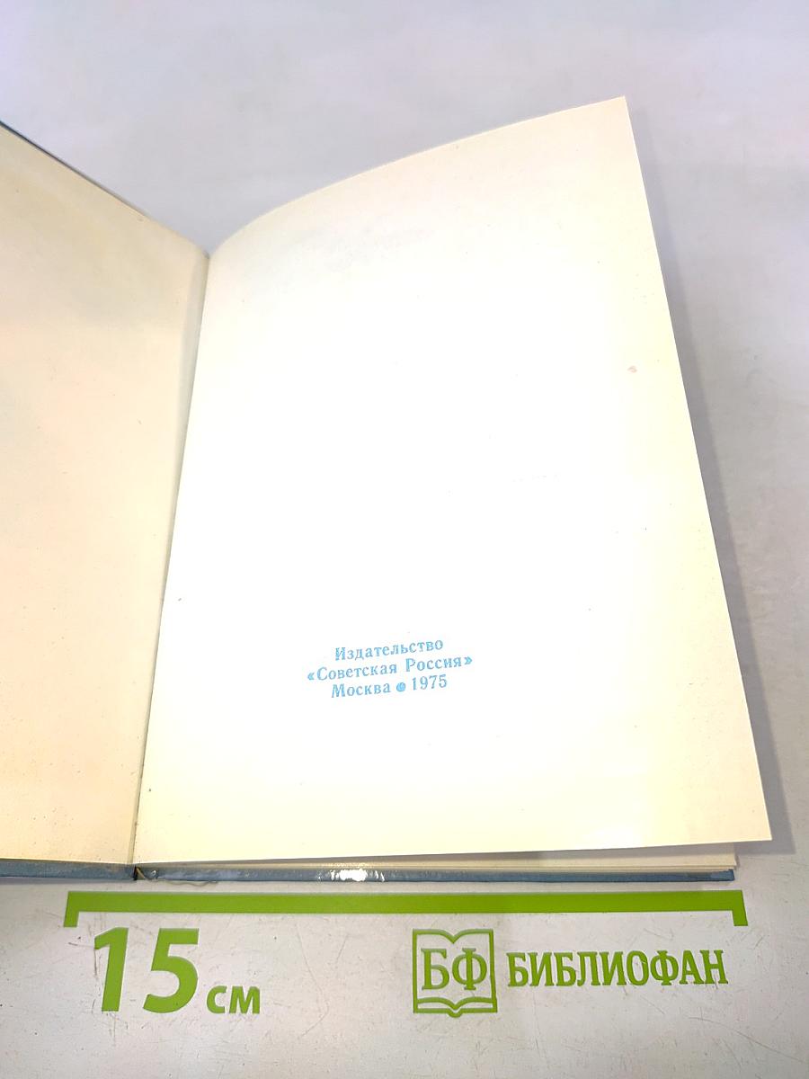 Бородино. Путеводитель