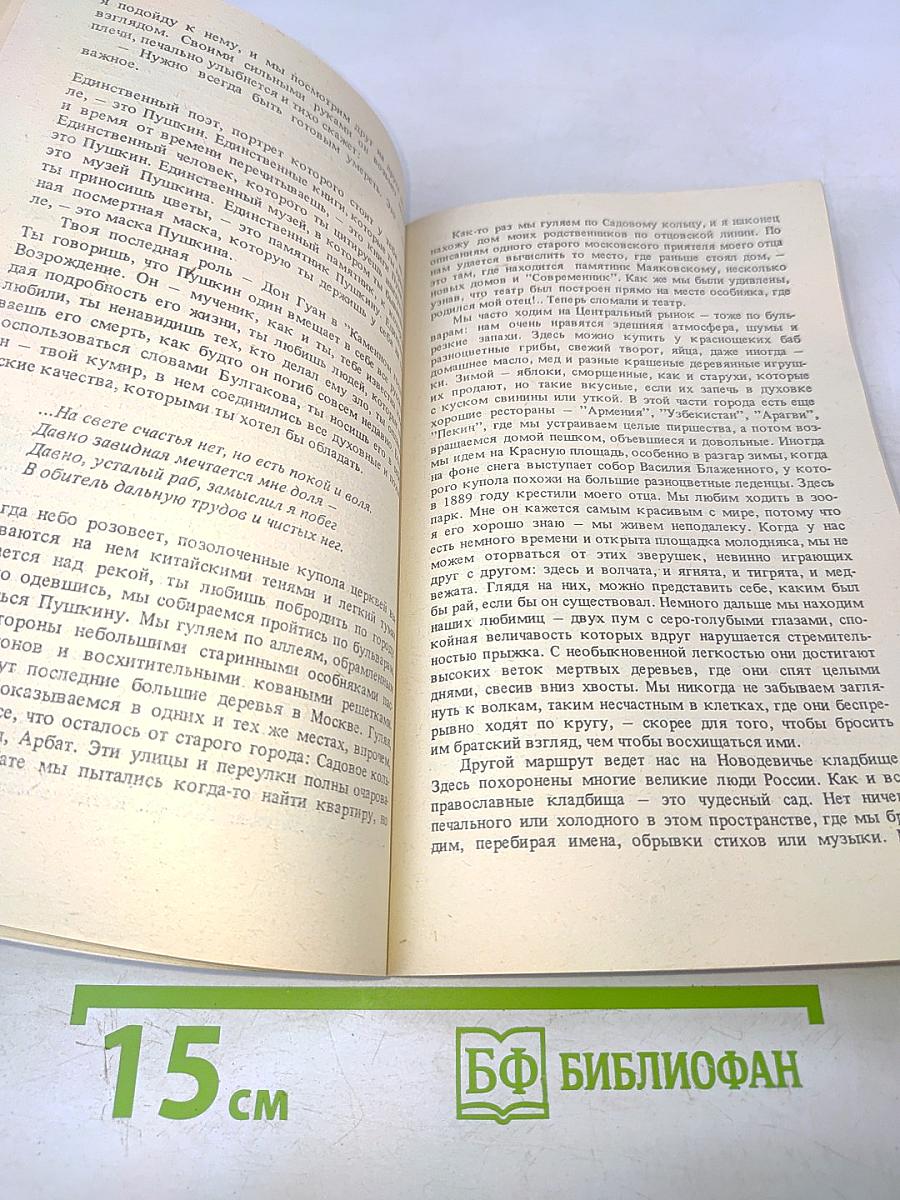 Владимир, или Прерванный полет