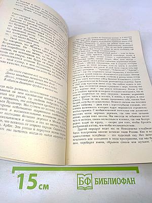 Владимир, или Прерванный полет