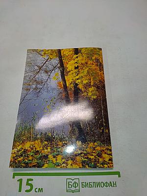 Спасский вестник 6